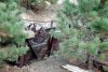 Wooden trough with iron wheel